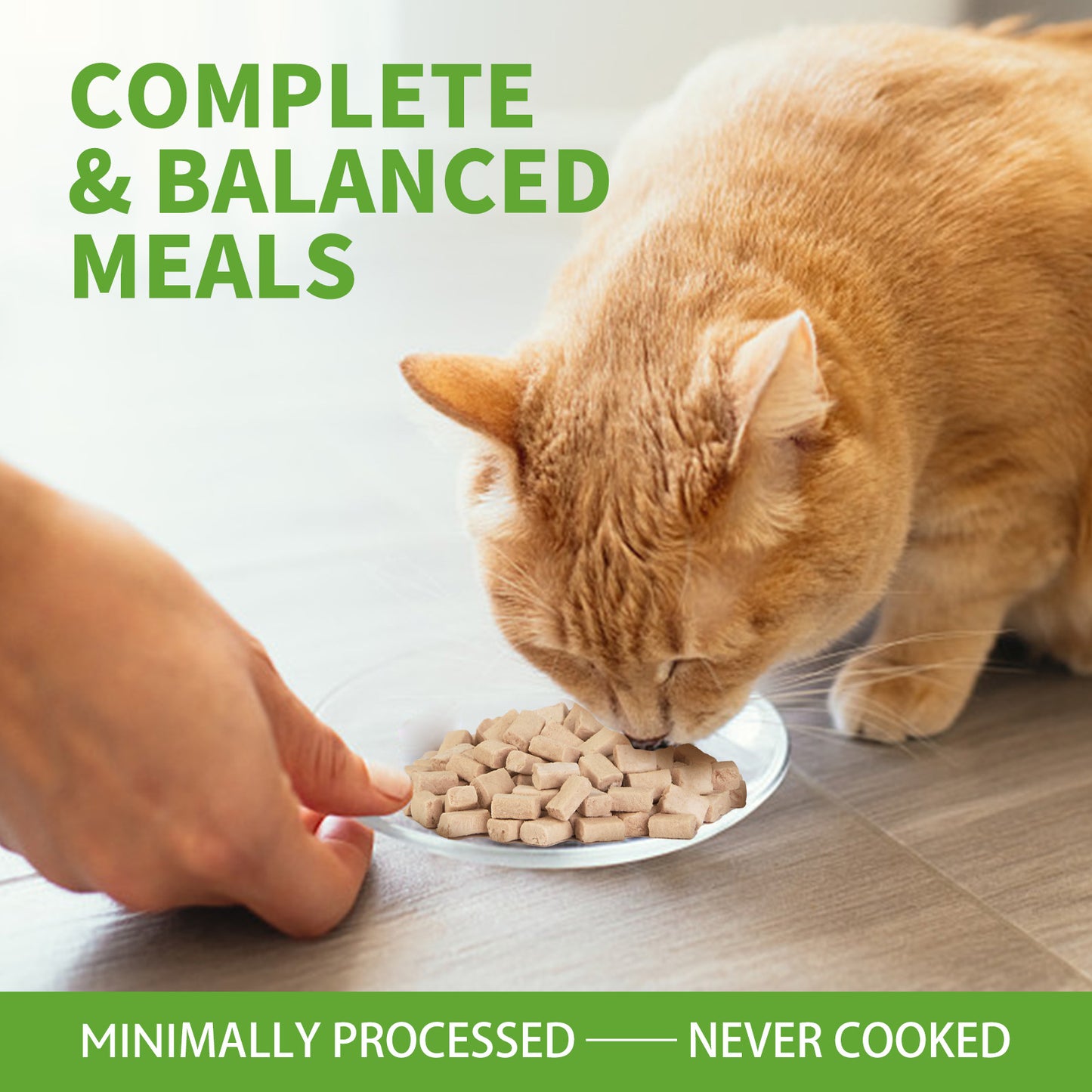 OPET Comidas liofilizadas para gatos (Conejo, 260g)