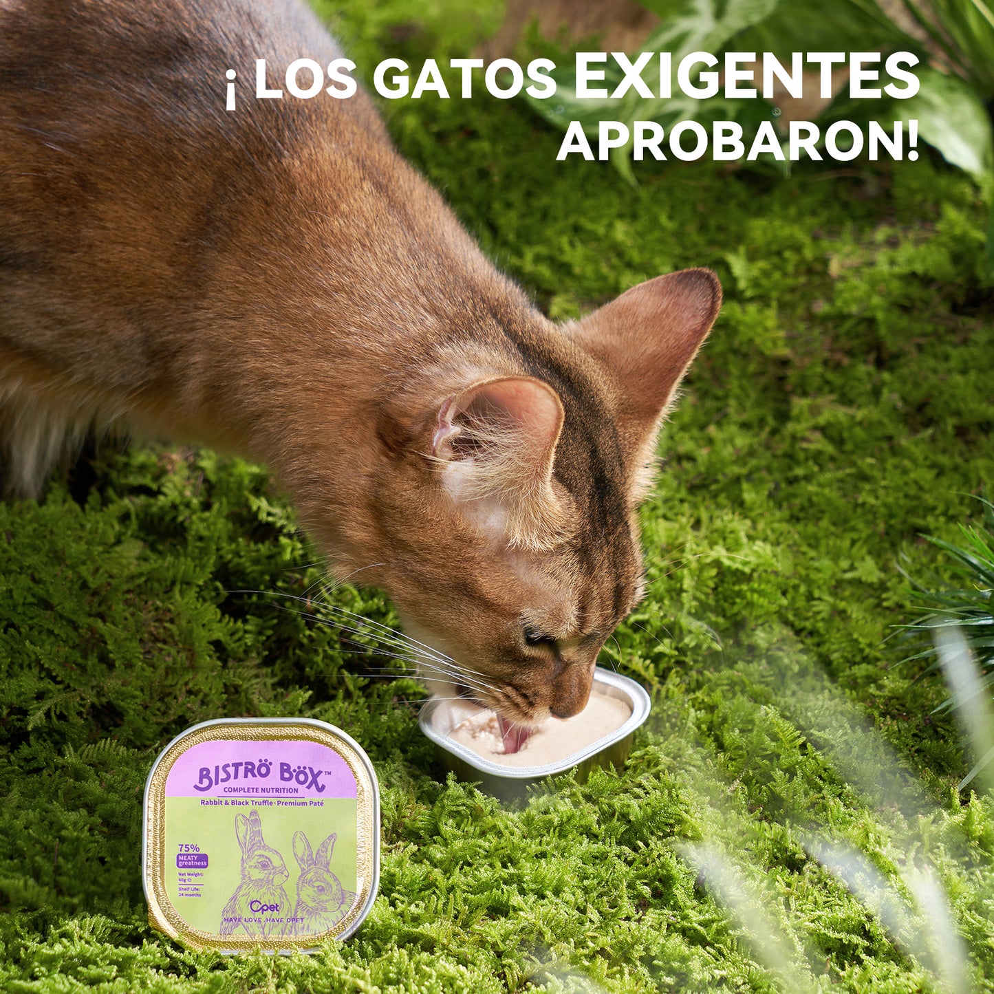 OPET Bistro Box Comida Húmeda para Gatos 40g (Conejo, Paquete de 4)