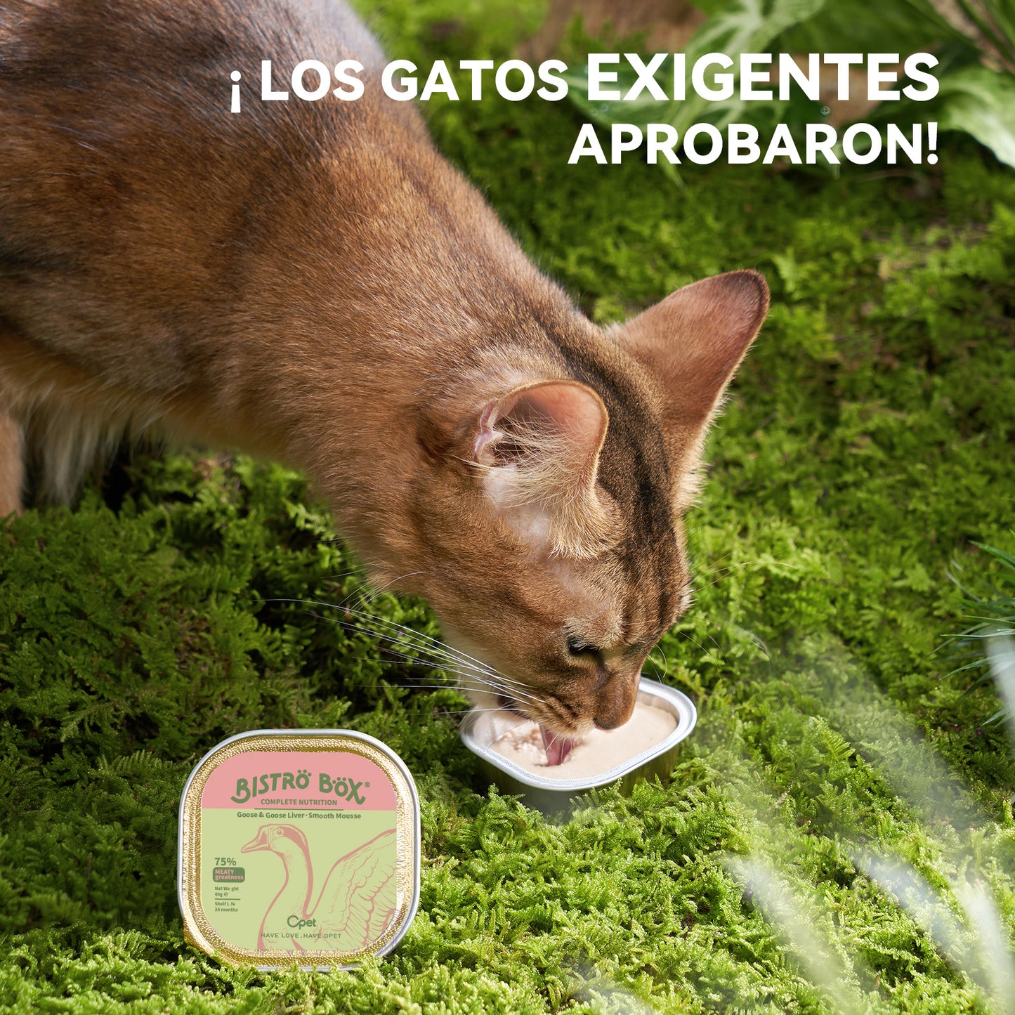 OPET Bistro Box Comida Húmeda para Gatos 40g (Ganso, Paquete de 4)