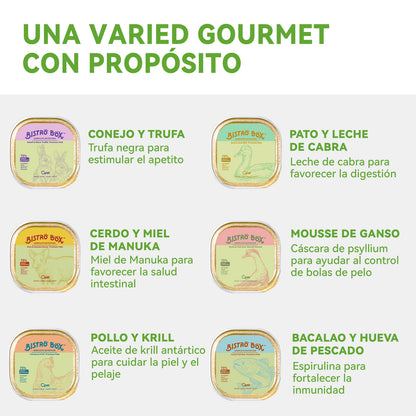 OPET Bistro Box Comida Húmeda para Gatos 40g (Cerdo, Paquete de 4)