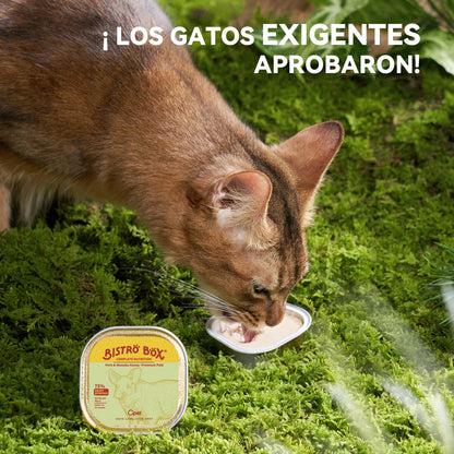OPET Bistro Box Comida Húmeda para Gatos 40g (Cerdo, Paquete de 4)