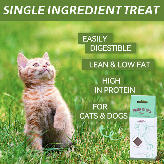 OPET Premio Liofilizado para Gatos (Carne de res, 28 g)