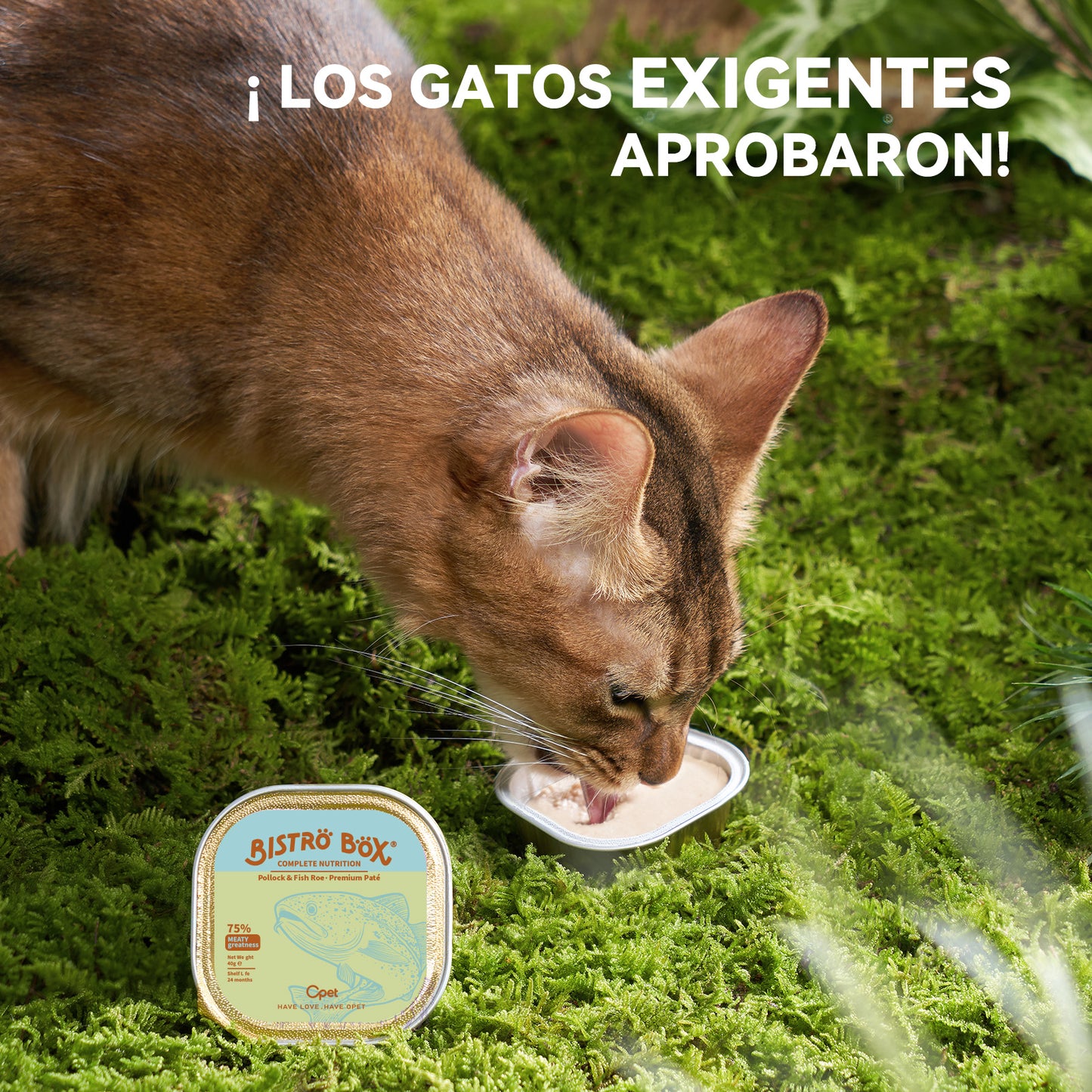 OPET Bistro Box Comida Húmeda para Gatos 40g (Bacalao, Paquete de 4)